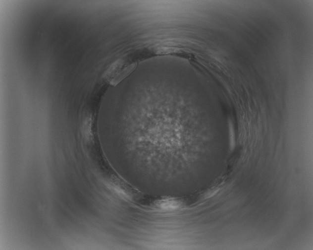 X0000068260219200604281534