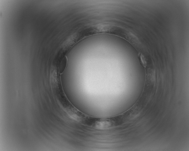 X0000068260220200604281534