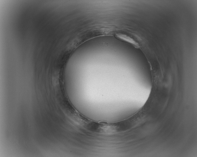 X0000068260221200604281534