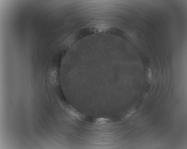 X0000068260222200604281534