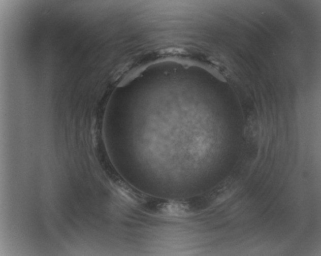 X0000068260223200604281534