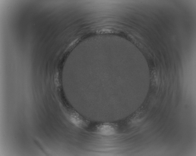 X0000068260224200604281534