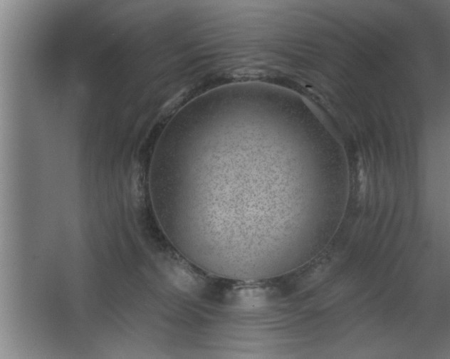 X0000068260228200604281534