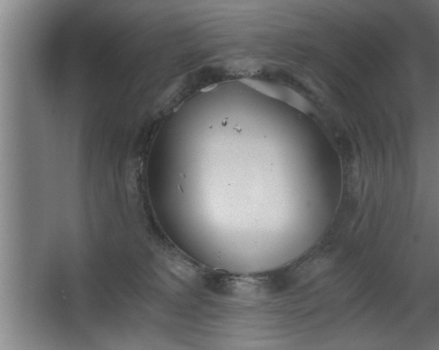 X0000068260229200604281534