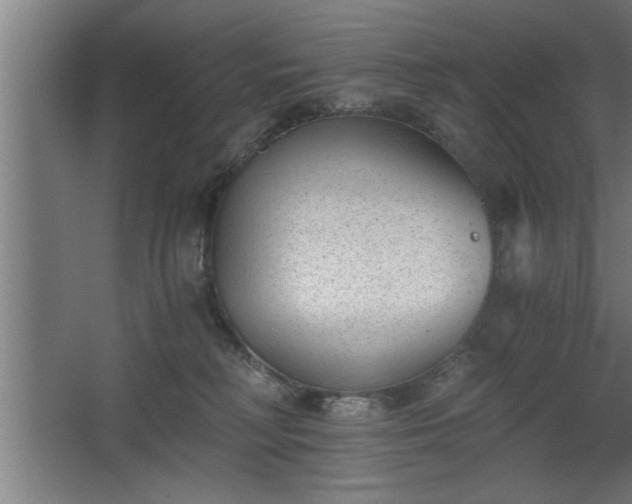 X0000068260230200604281534