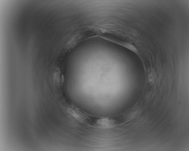 X0000068260231200604281534