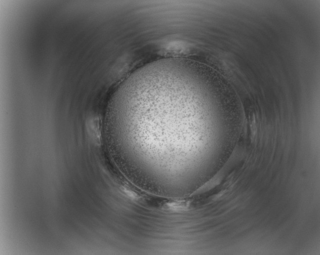 X0000068260232200604281534