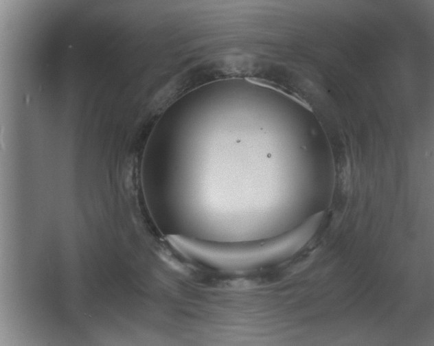 X0000068260233200604281534