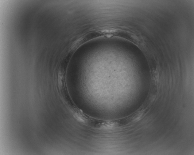 X0000068260235200604281534