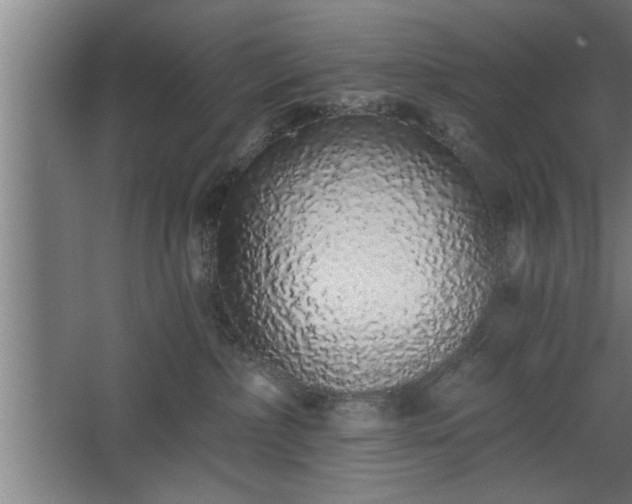 X0000068260236200604281534