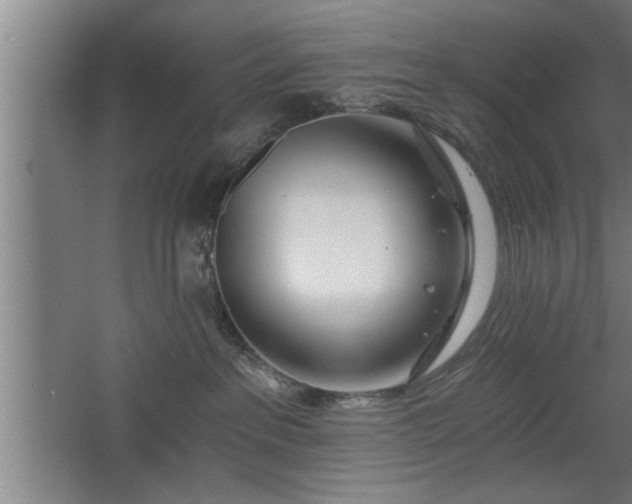 X0000068260237200604281534