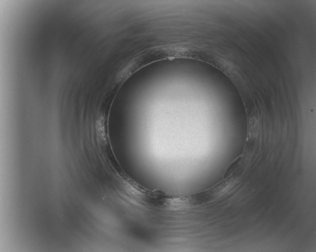 X0000068260238200604281534