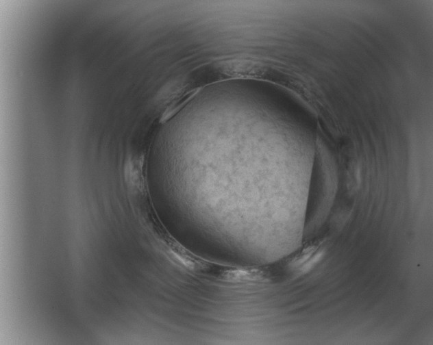 X0000068260239200604281534