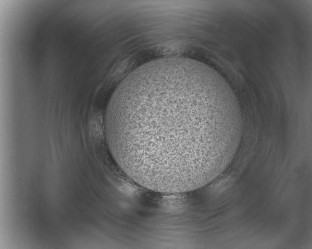 X0000068260240200604281534