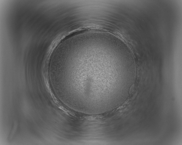 X0000068260241200604281533