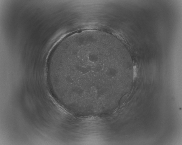 X0000068260243200604281533