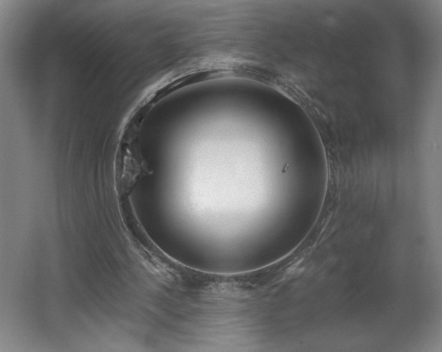 X0000068260244200604281533