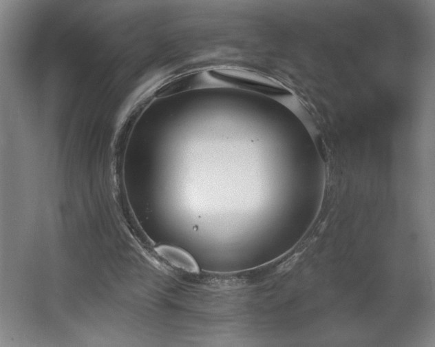 X0000068260245200604281533