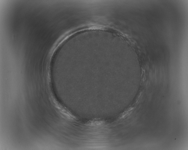 X0000068260247200604281533