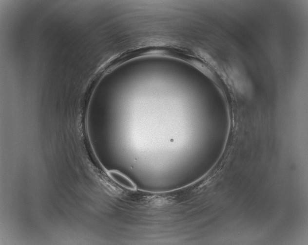 X0000068260249200604281533