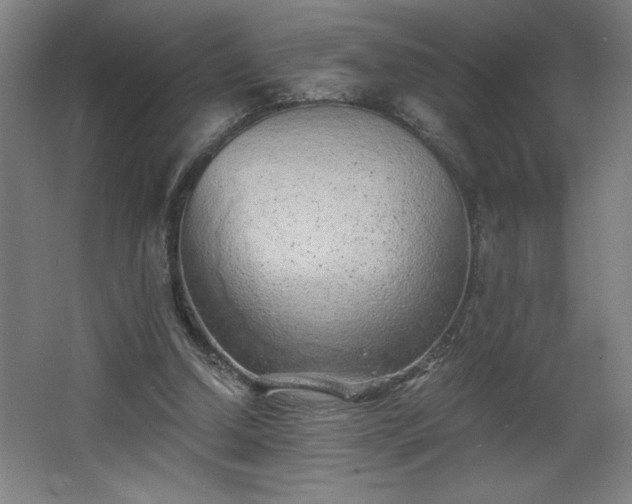 X0000068260250200604281533