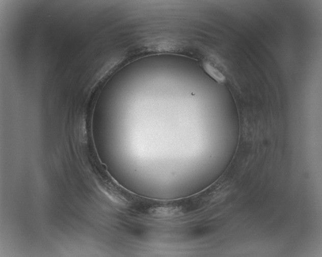 X0000068260251200604281533