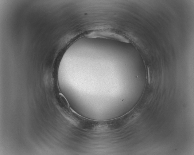 X0000068260252200604281533