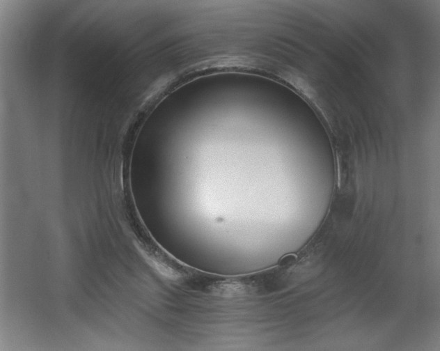 X0000068260253200604281533