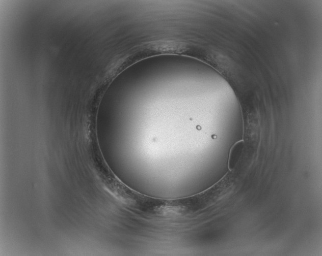 X0000068260255200604281533