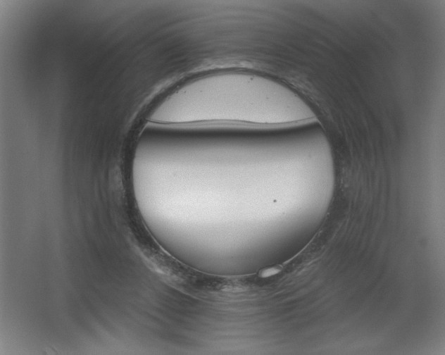 X0000068260256200604281533