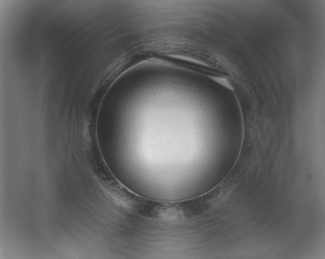 X0000068260258200604281533