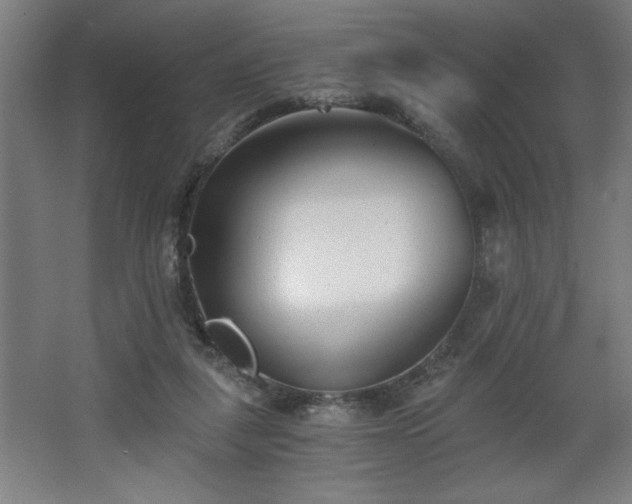 X0000068260259200604281533