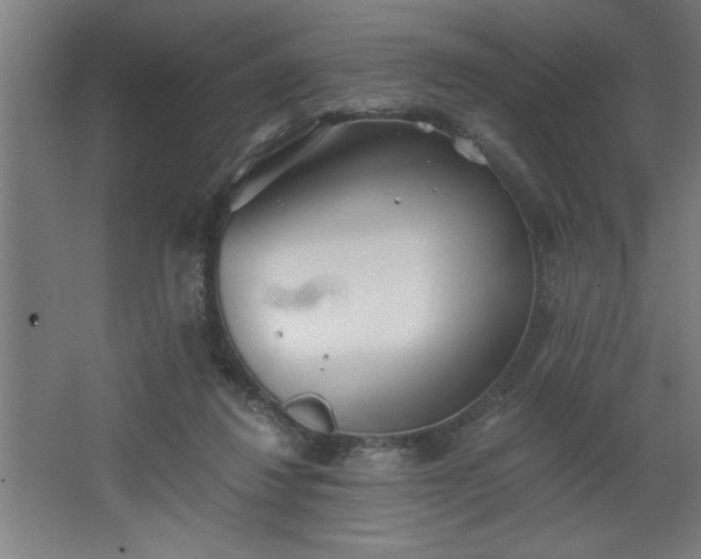 X0000068260260200604281533