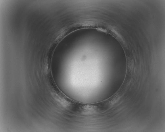 X0000068260261200604281533