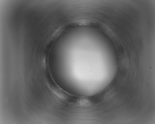 X0000068260262200604281533