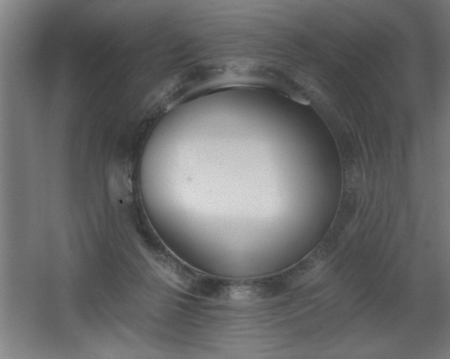 X0000068260264200604281533