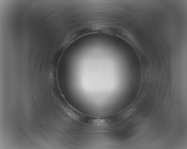 X0000068260265200604281533