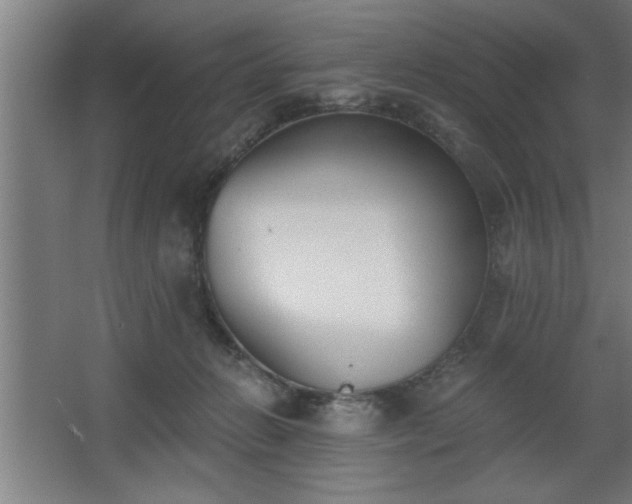 X0000068260270200604281533