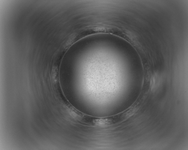 X0000068260273200604281533