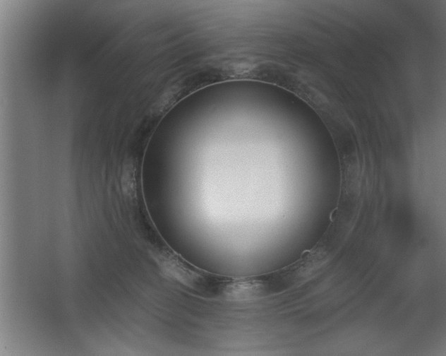 X0000068260274200604281533