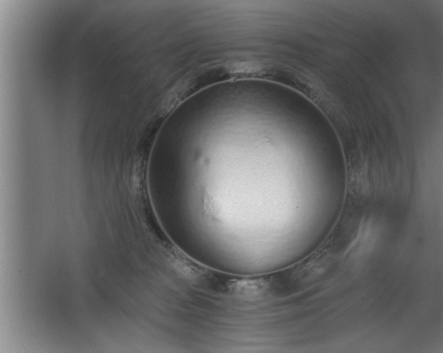 X0000068260277200604281533