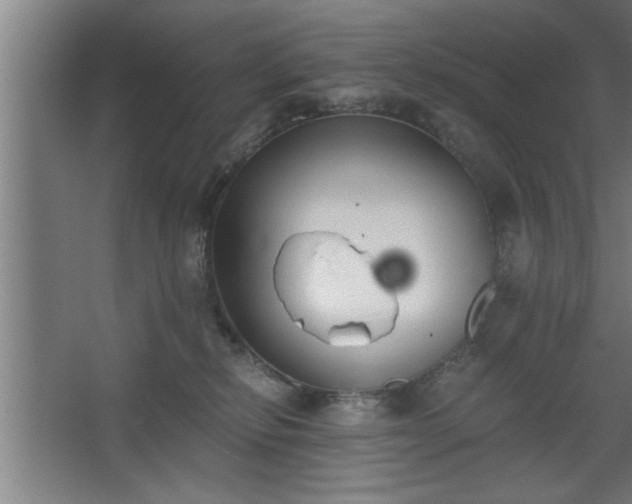 X0000068260278200604281533