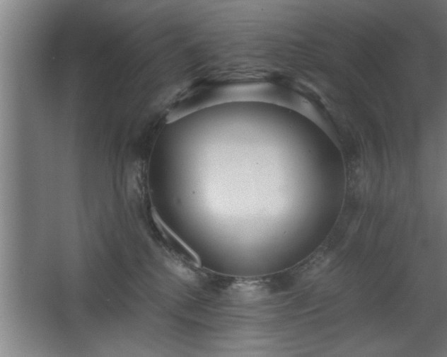 X0000068260280200604281533