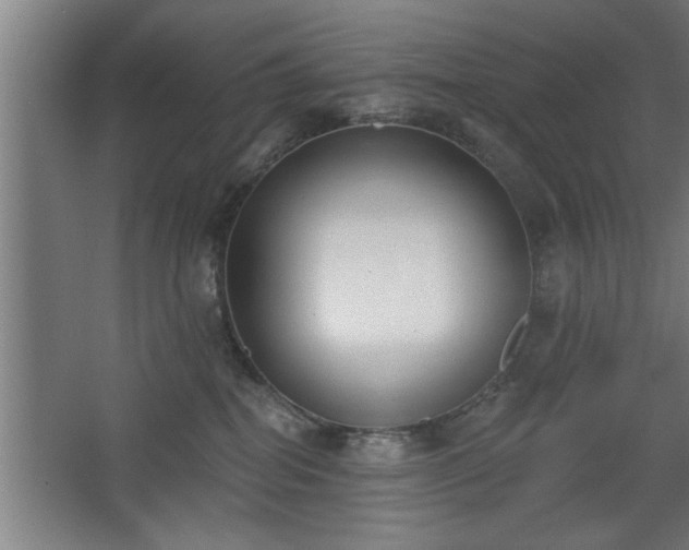 X0000068260282200604281533