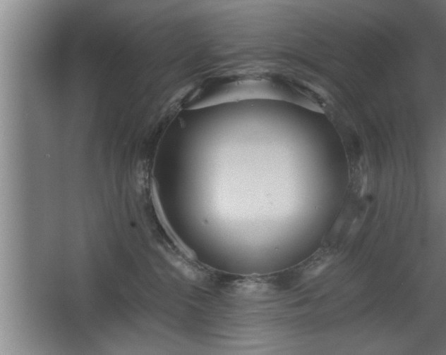 X0000068260284200604281533