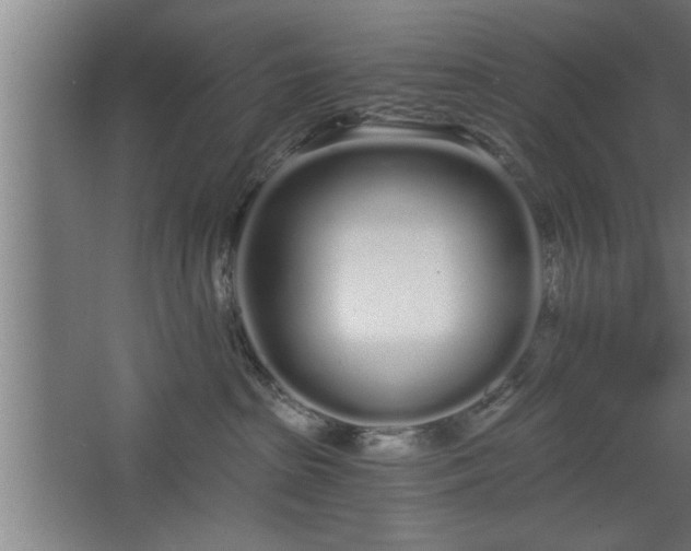 X0000068260285200604281533