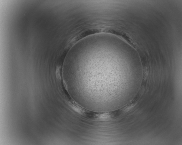 X0000068260286200604281533