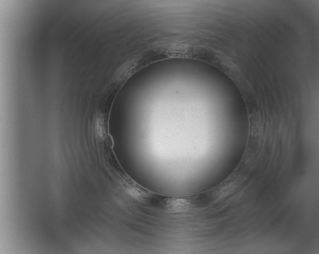 X0000068260287200604281533