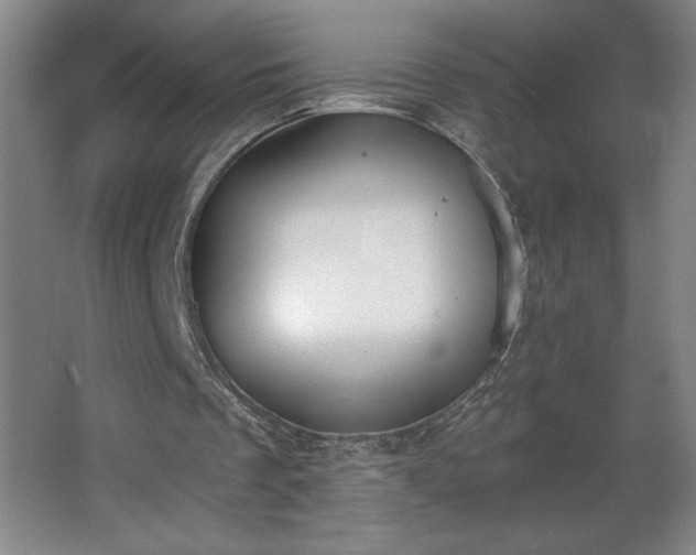 X0000068260289200604281533