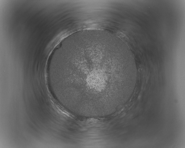 X0000068260290200604281533